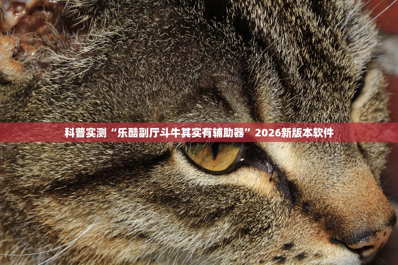 科普实测“乐酷副厅斗牛其实有辅助器”2026新版本软件