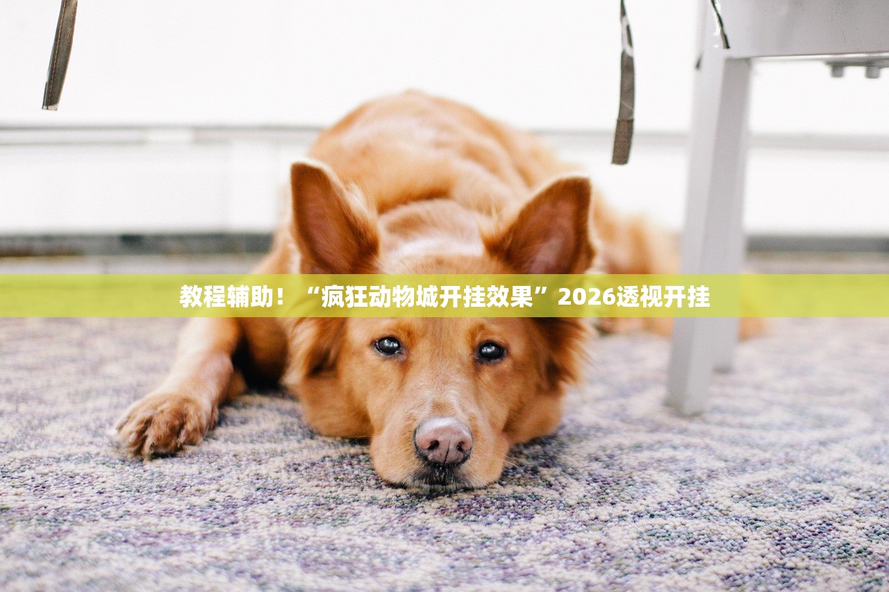 教程辅助！“疯狂动物城开挂效果”2026透视开挂