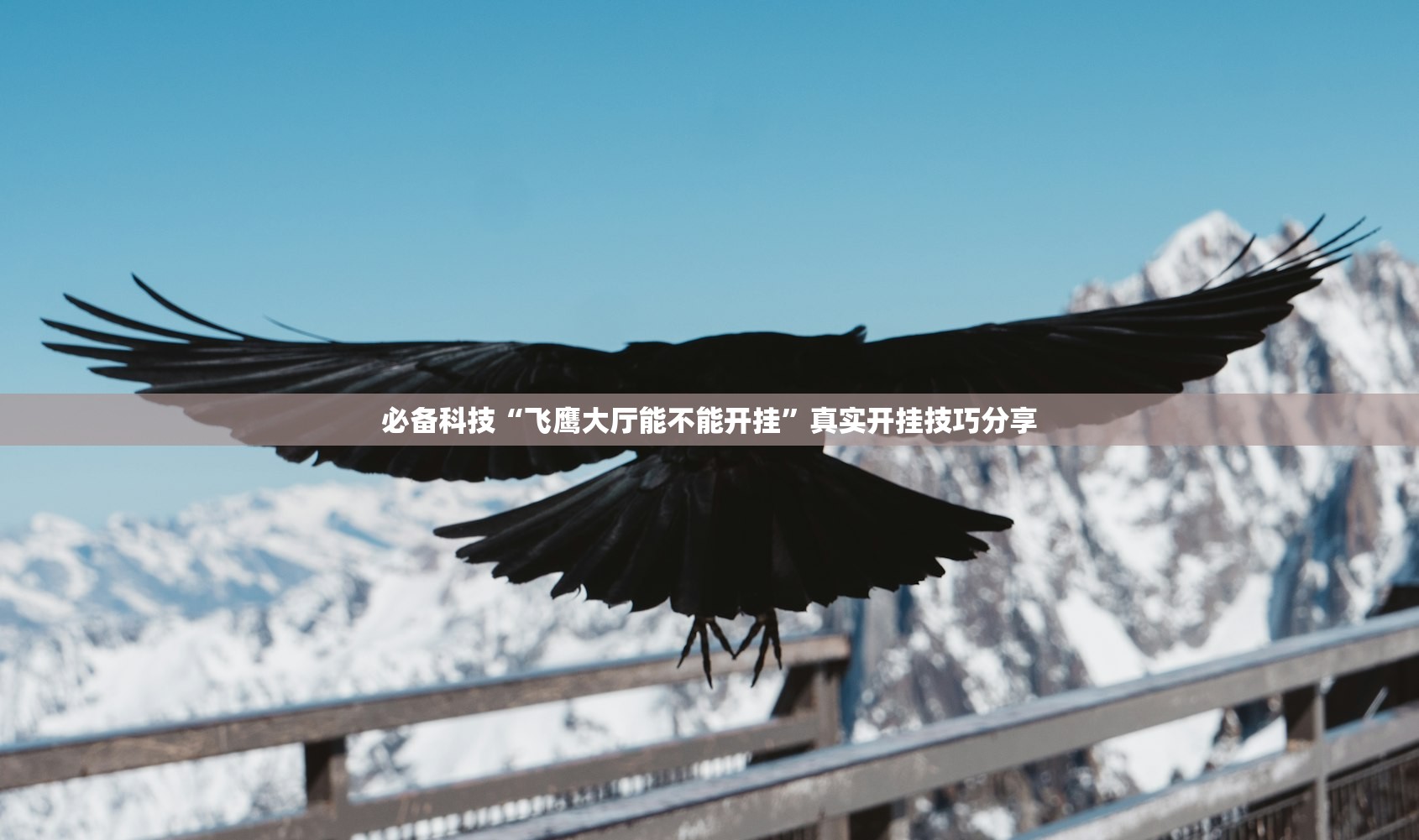 必备科技“飞鹰大厅能不能开挂	”真实开挂技巧分享