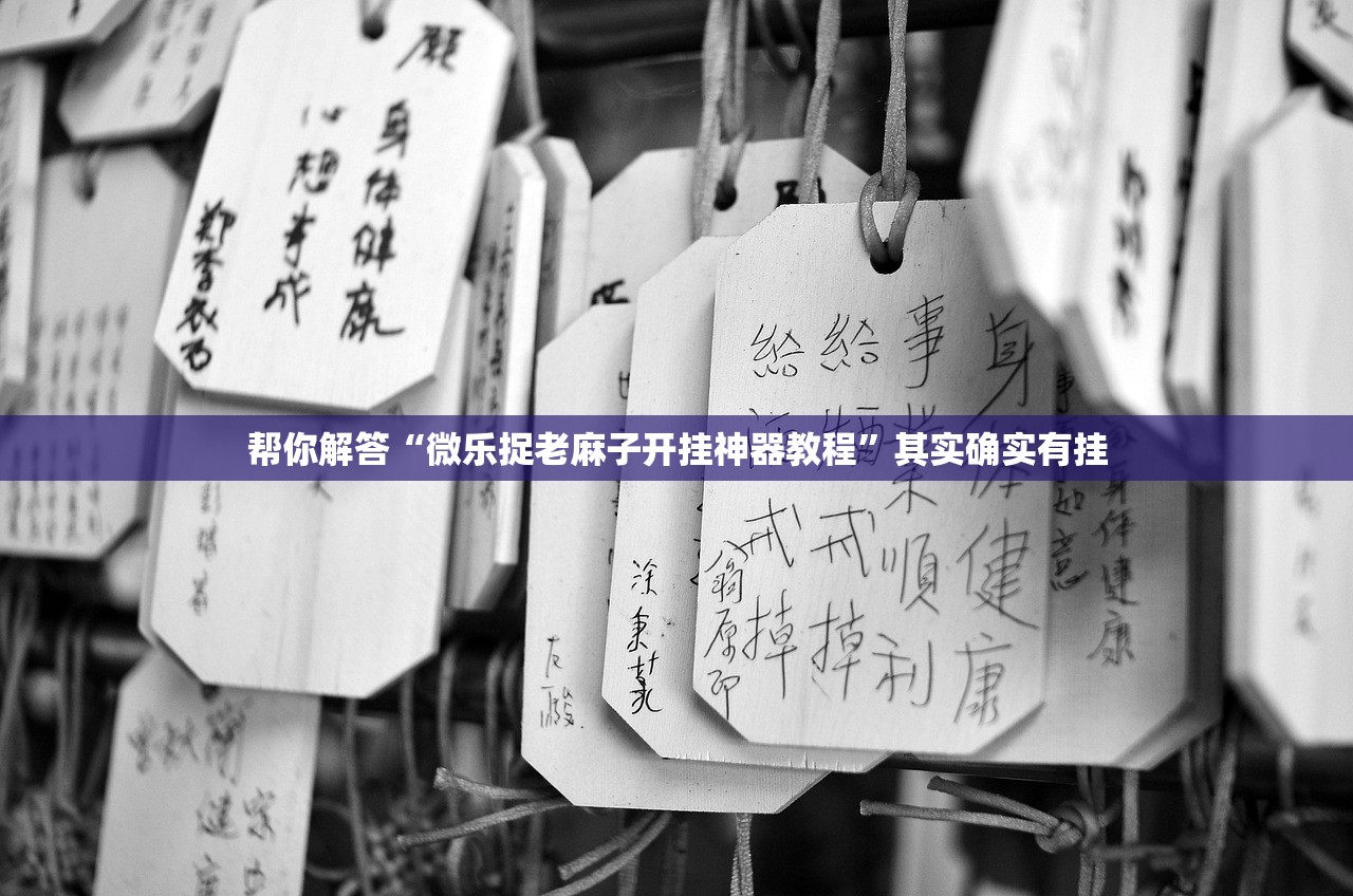 帮你解答“微乐捉老麻子开挂神器教程”其实确实有挂