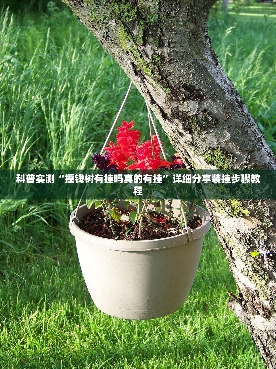 开挂辅助工具“波特互娱到底怎么开挂	”揭秘透视辅助万能挂用法