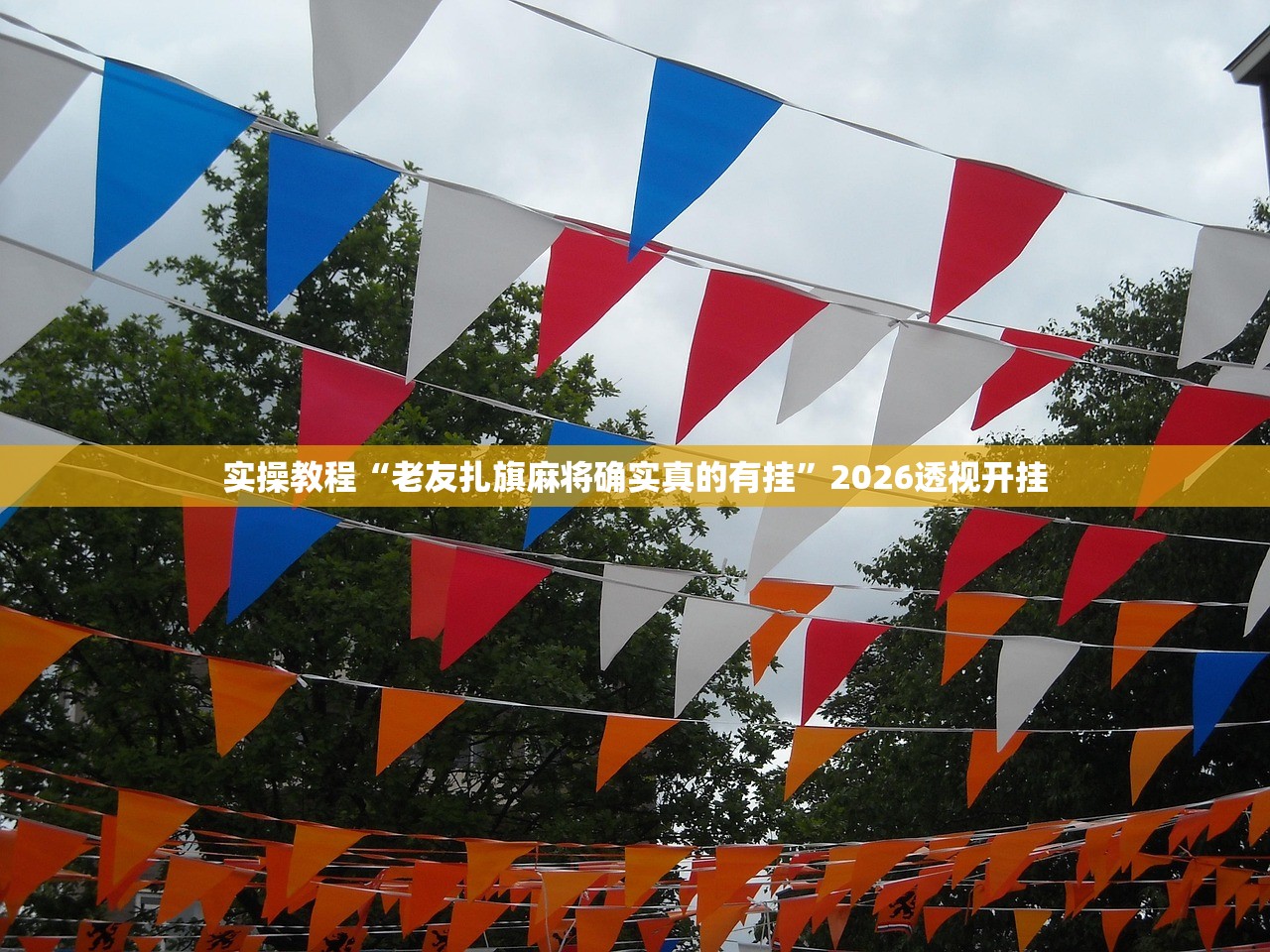 专家分析“新九哥金花怎么装挂”2026新版本软件