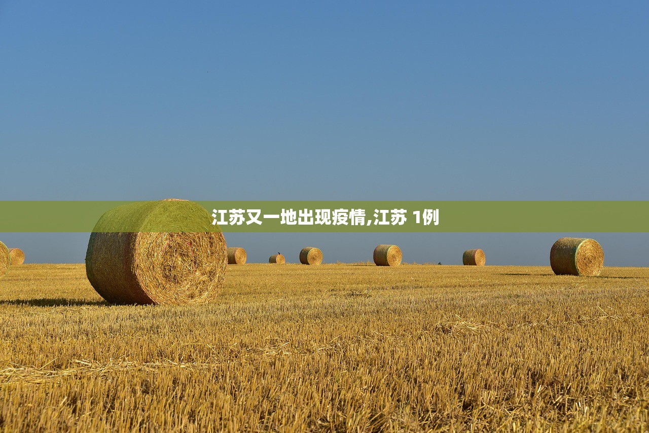 江苏又一地出现疫情,江苏 1例