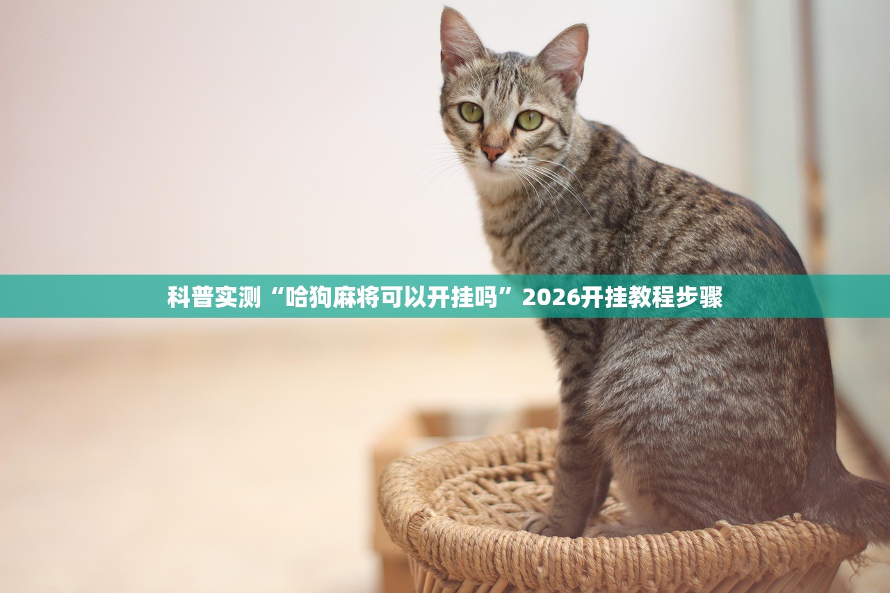 科普实测“哈狗麻将可以开挂吗	”2026开挂教程步骤