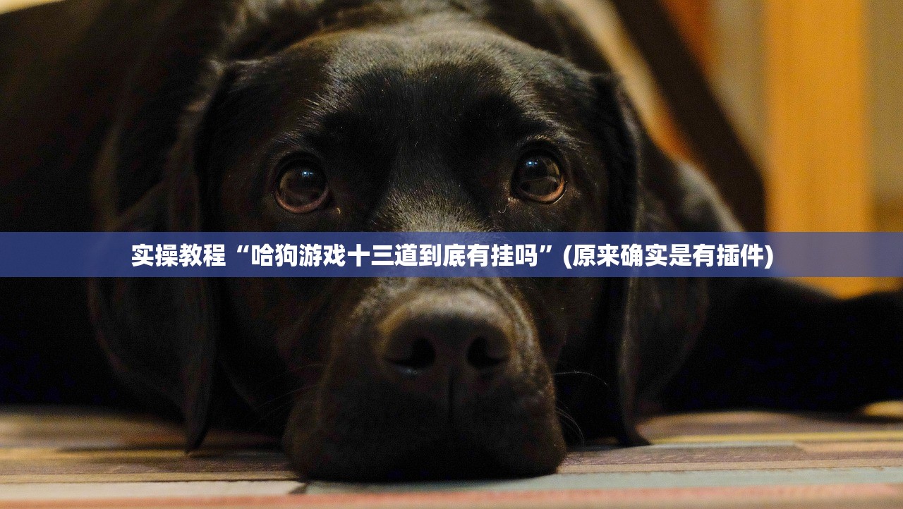 实操教程“哈狗游戏十三道到底有挂吗”(原来确实是有插件)