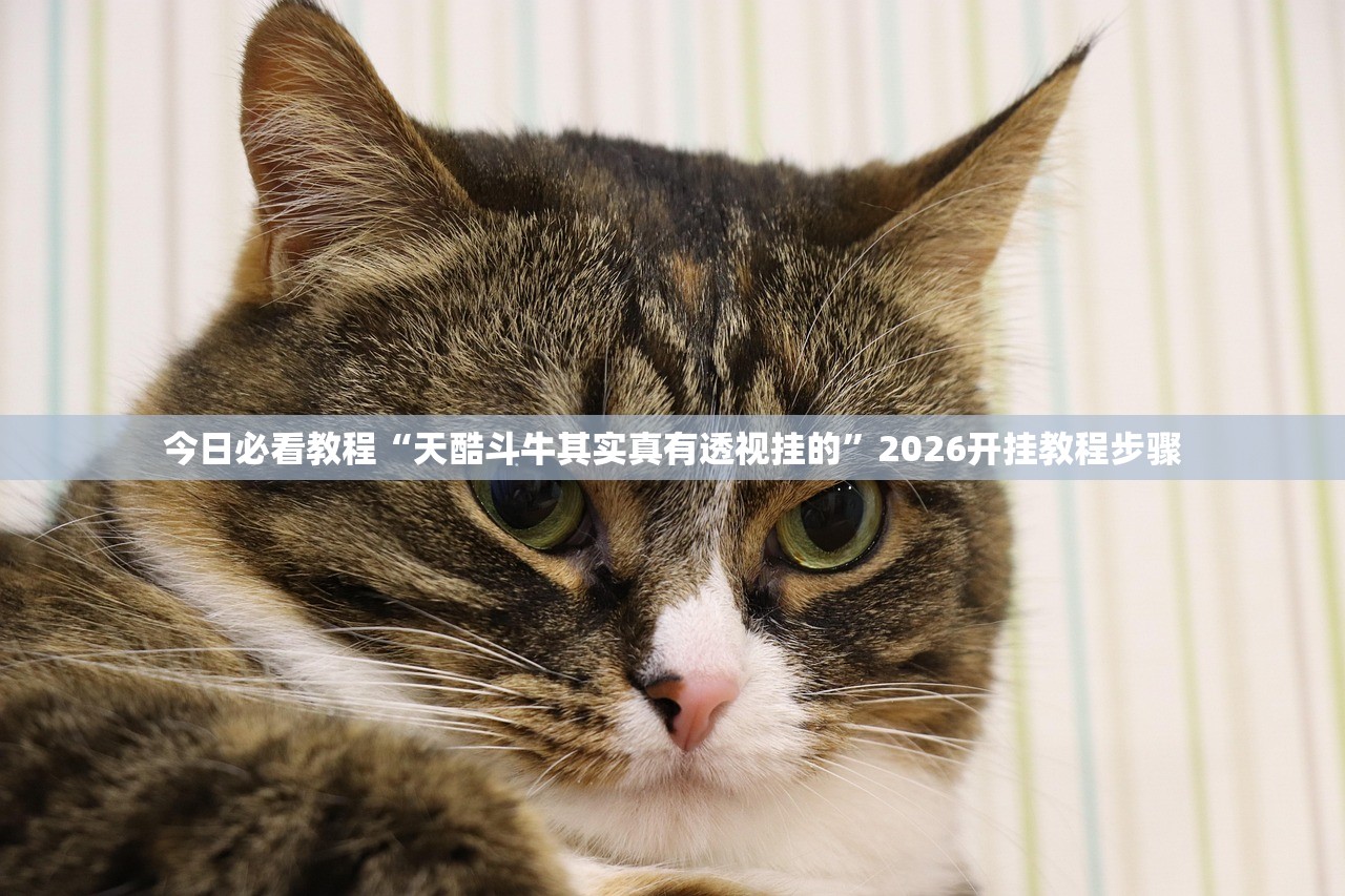 今日必看教程“天酷斗牛其实真有透视挂的	”2026开挂教程步骤