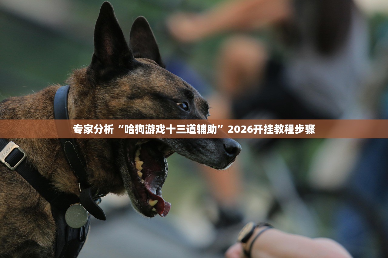 专家分析“哈狗游戏十三道辅助”2026开挂教程步骤