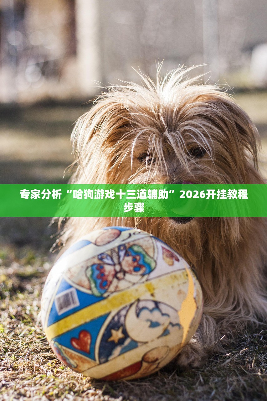 专家分析“哈狗游戏十三道辅助”2026开挂教程步骤