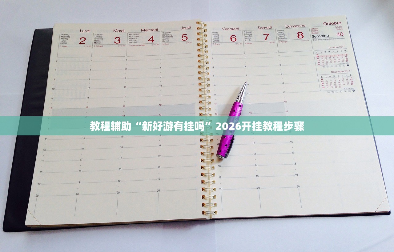 教程辅助“新好游有挂吗”2026开挂教程步骤