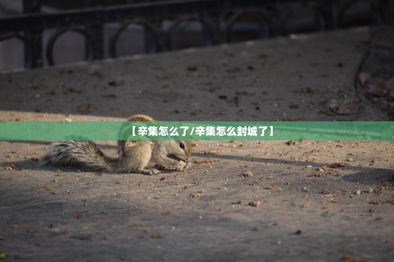 教程辅助“决胜麻将小程序开挂神器软件”附开挂脚本详细步骤