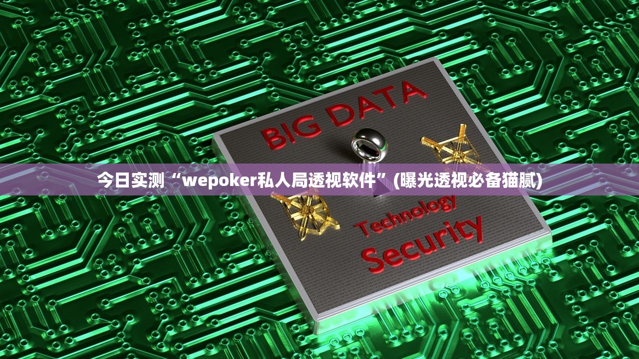 今日实测“wepoker私人局透视软件”(曝光透视必备猫腻)