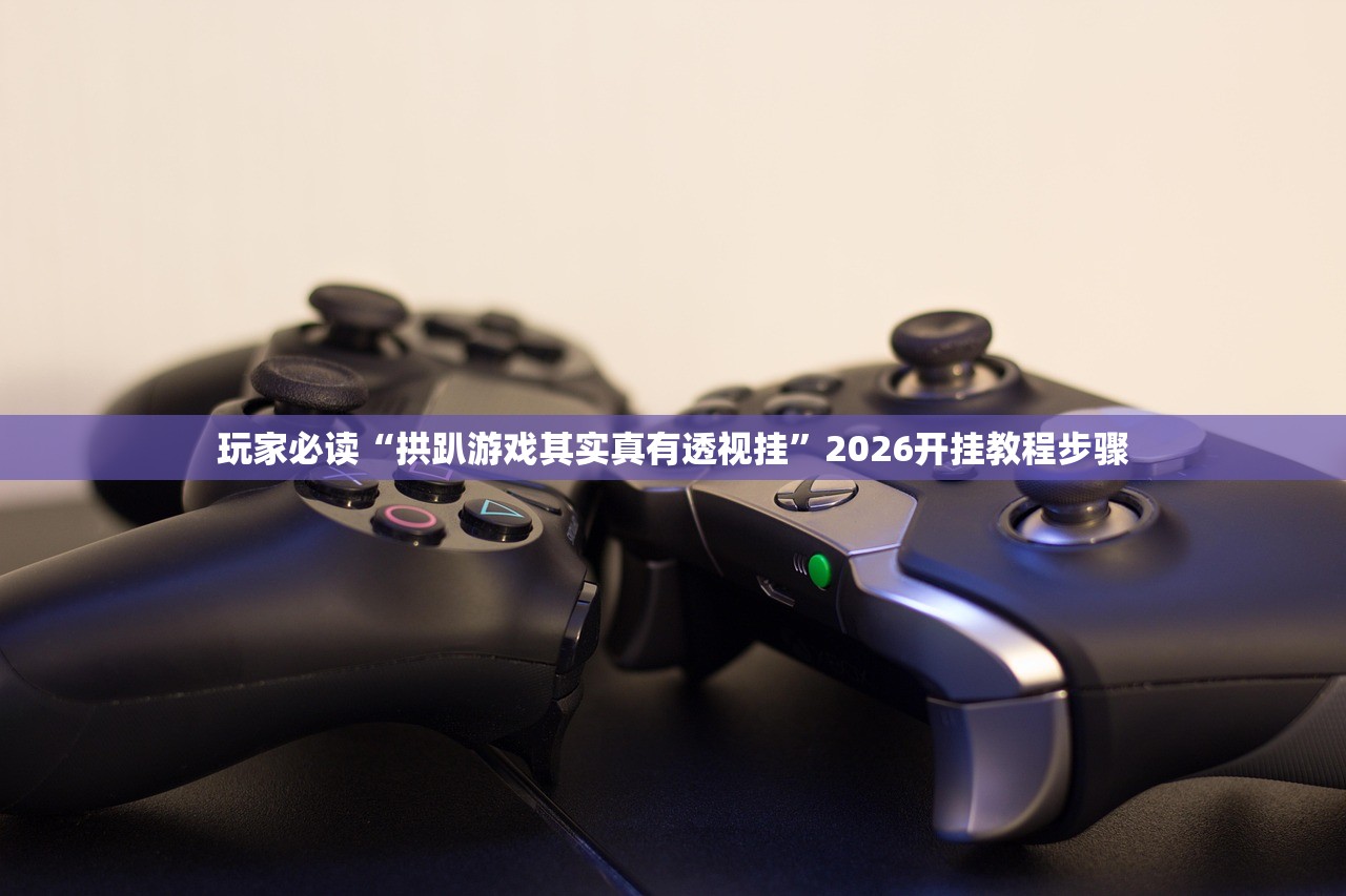 玩家必读“拱趴游戏其实真有透视挂”2026开挂教程步骤