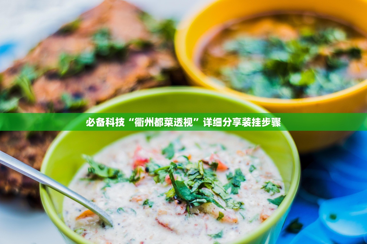必备科技“衢州都菜透视”详细分享装挂步骤