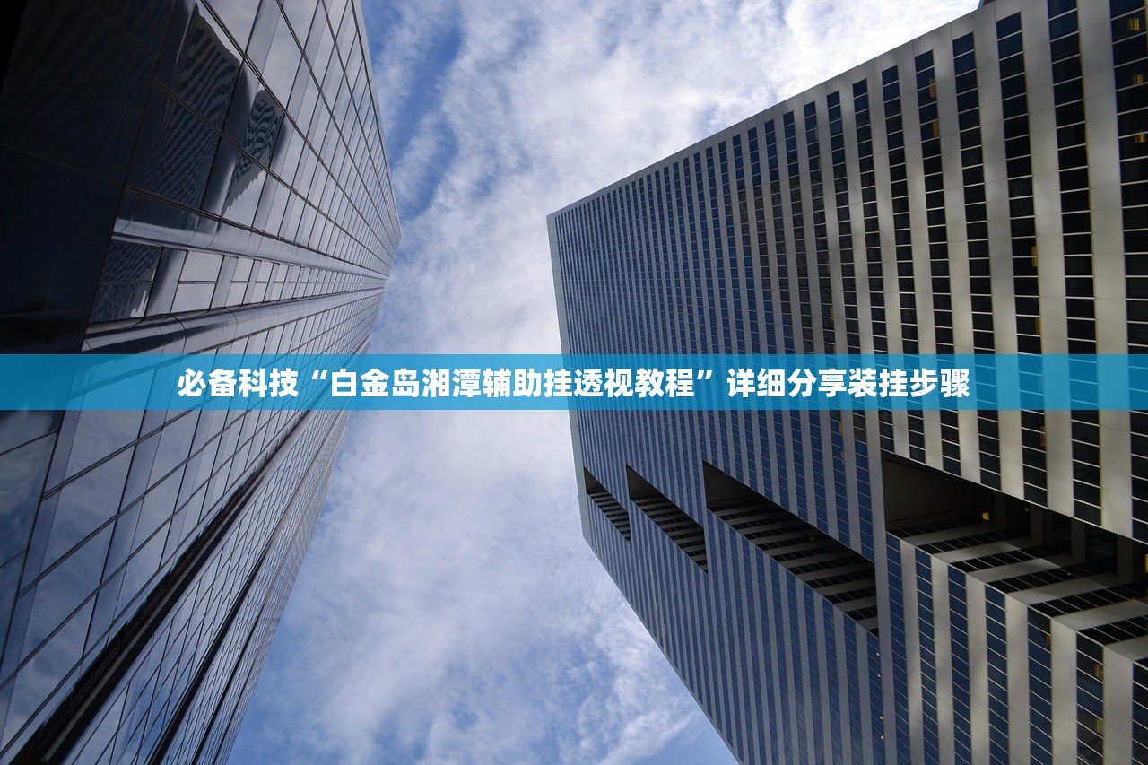 必备科技“白金岛湘潭辅助挂透视教程	”详细分享装挂步骤