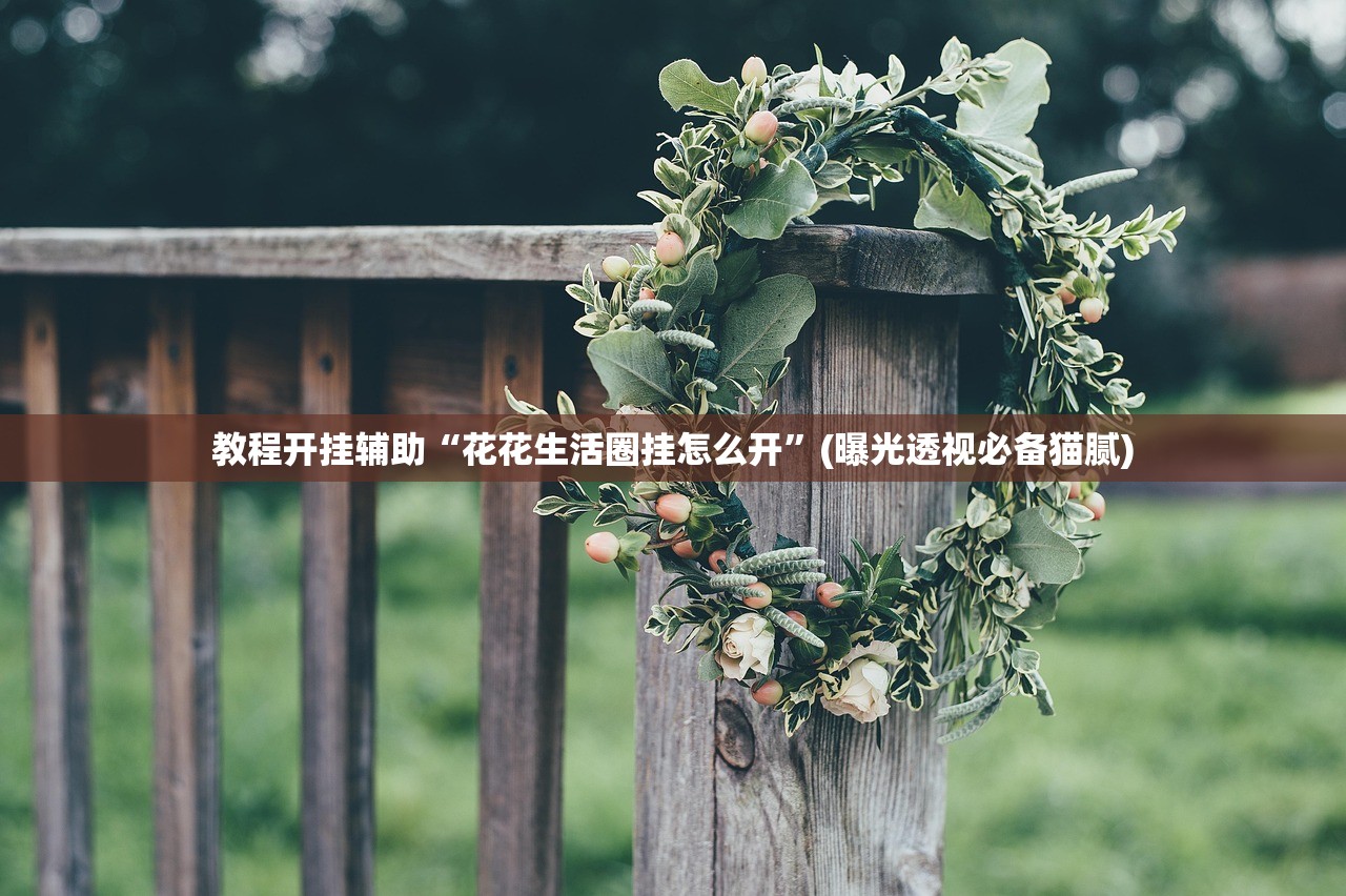 教程开挂辅助“花花生活圈挂怎么开”(曝光透视必备猫腻)