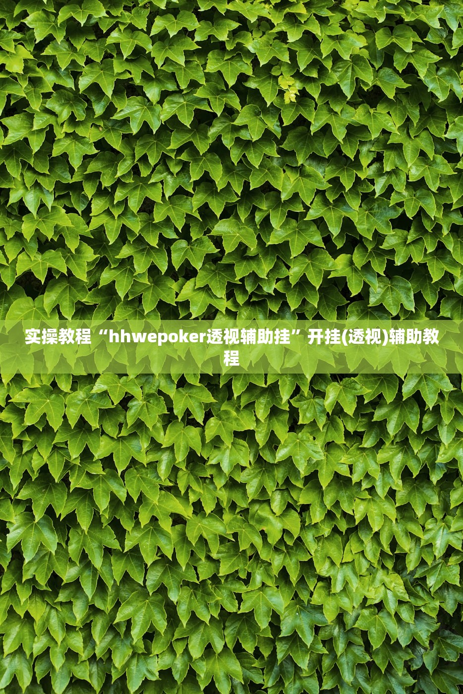实操教程“hhwepoker透视辅助挂”开挂(透视)辅助教程
