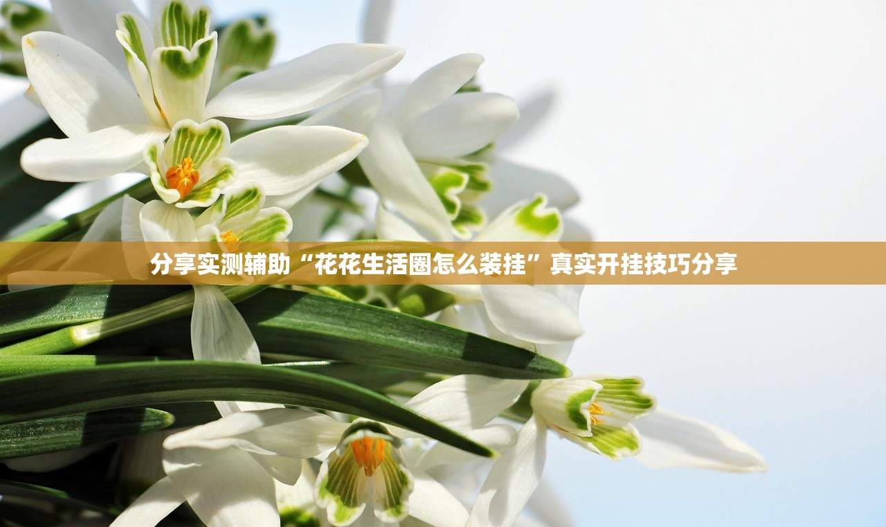 分享实测辅助“花花生活圈怎么装挂”真实开挂技巧分享