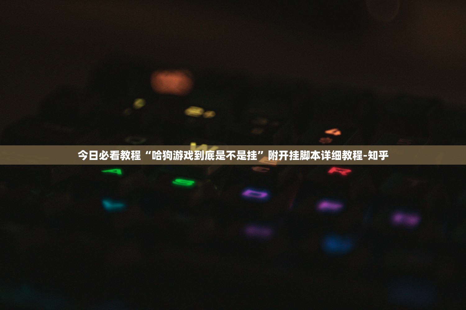 今日必看教程“哈狗游戏到底是不是挂”附开挂脚本详细教程-知乎