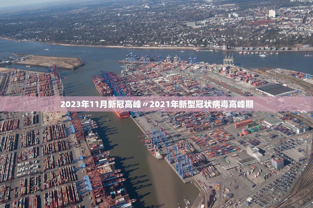 2023年11月新冠高峰〃2021年新型冠状病毒高峰期