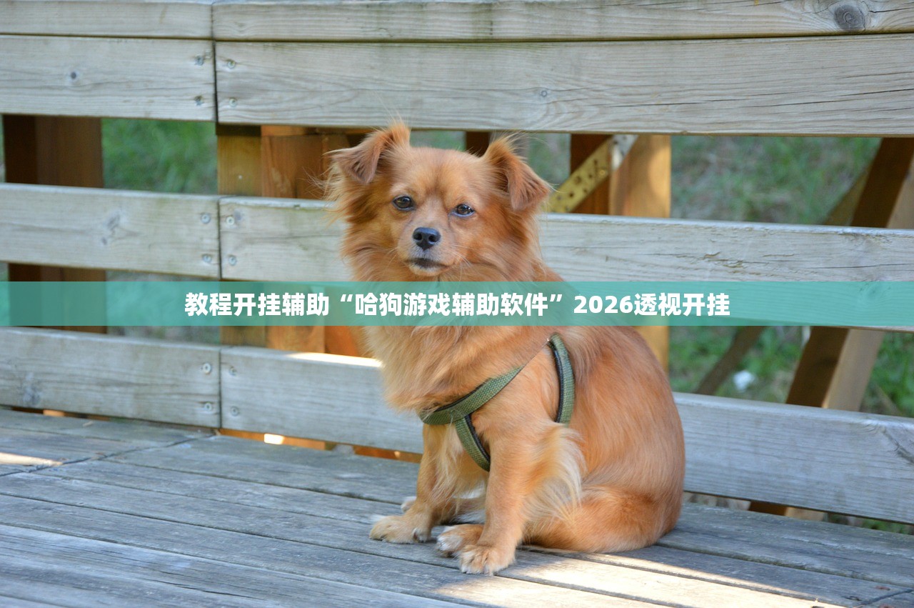 教程开挂辅助“哈狗游戏辅助软件”2026透视开挂