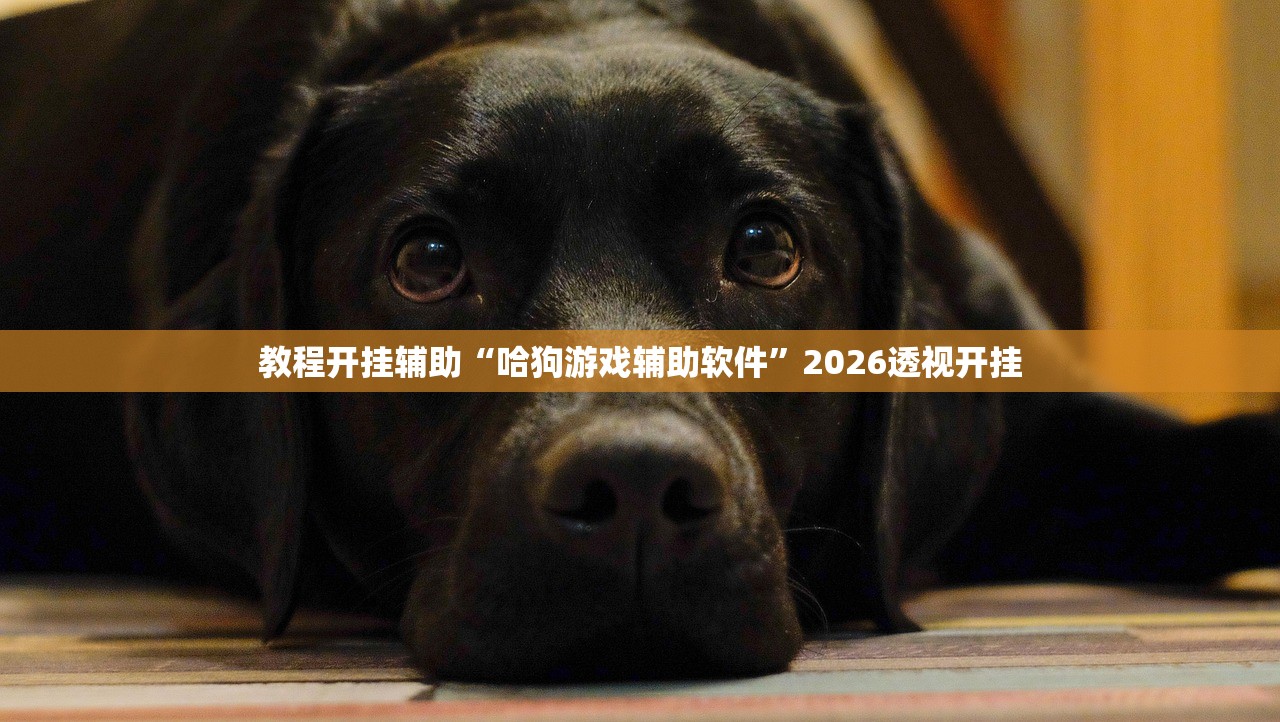 实测辅助“新九神牛牛开挂神器	”(原来确实是有插件) 