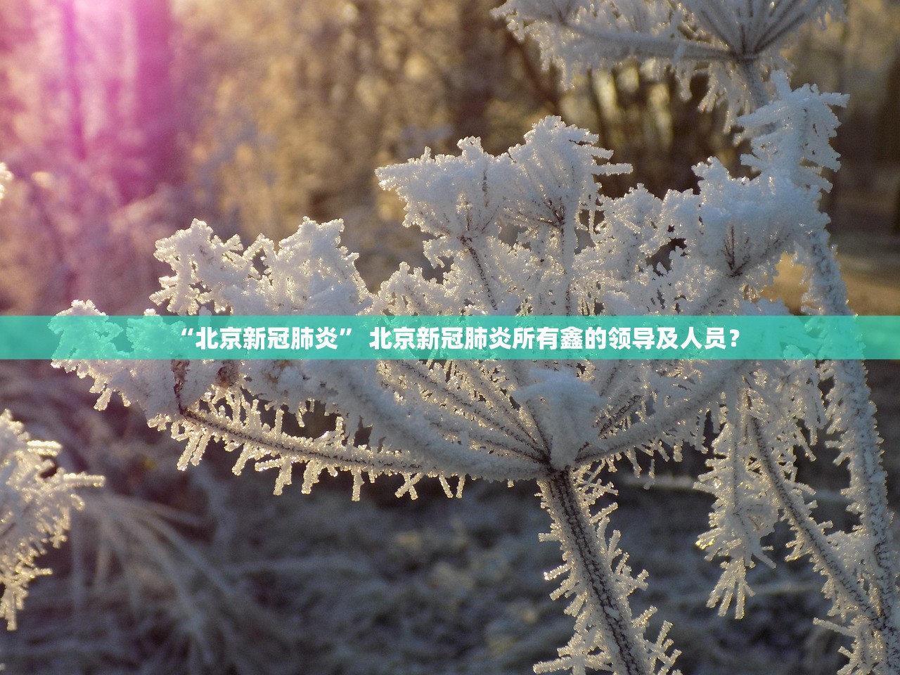 “北京新冠肺炎” 北京新冠肺炎所有鑫的领导及人员？