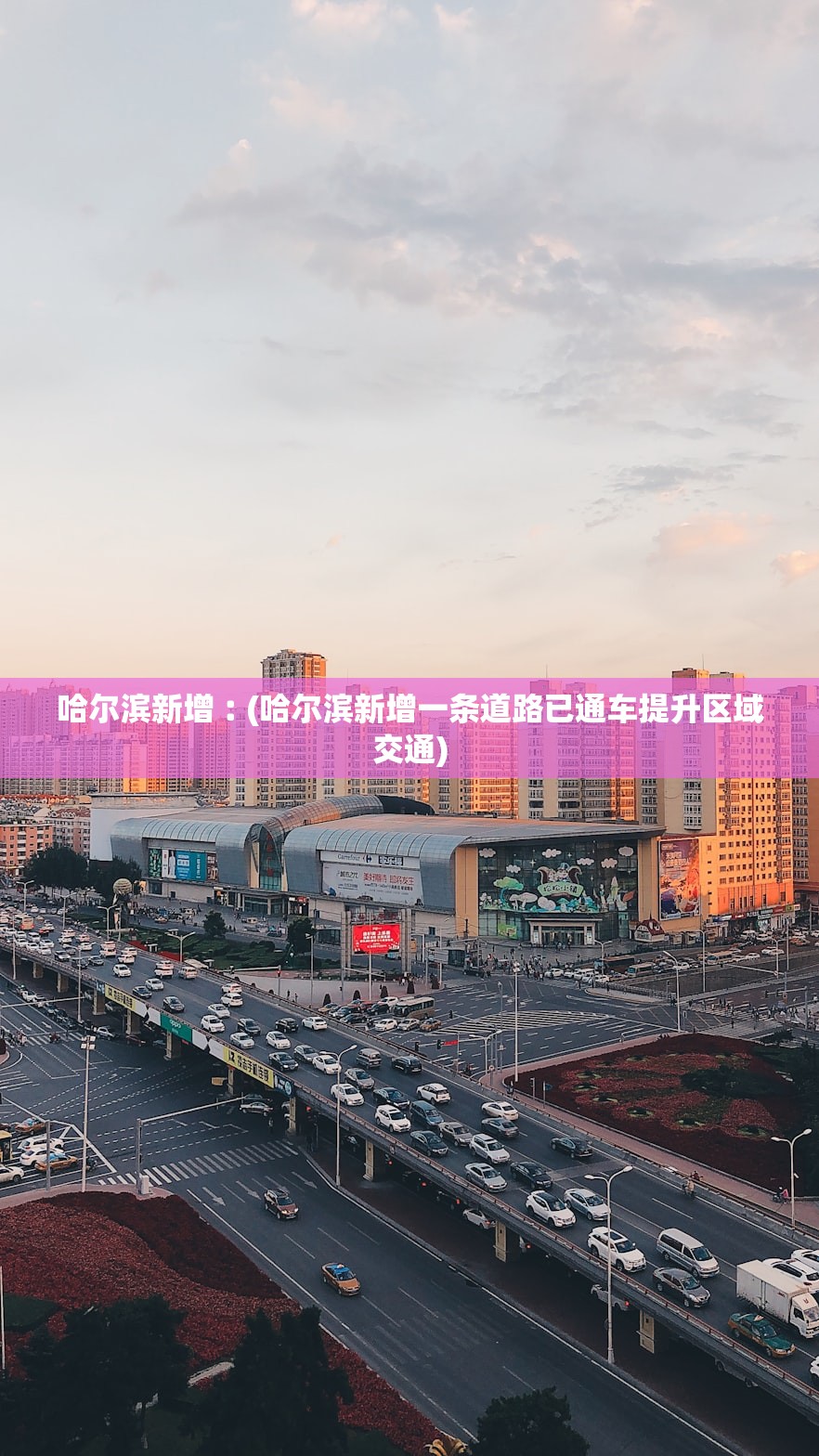 哈尔滨新增︰(哈尔滨新增一条道路已通车提升区域交通)