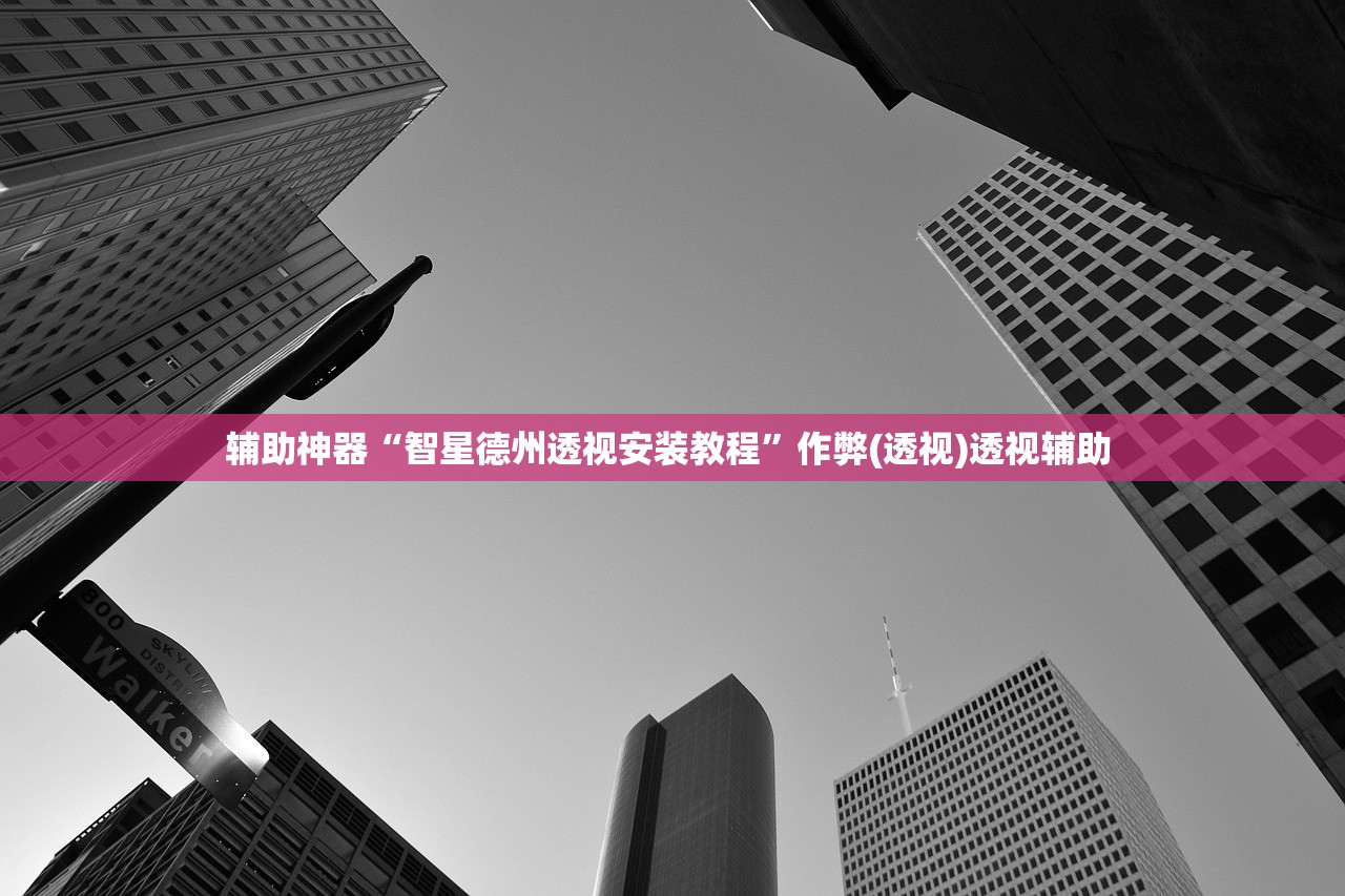 辅助神器“智星德州透视安装教程”作弊(透视)透视辅助 