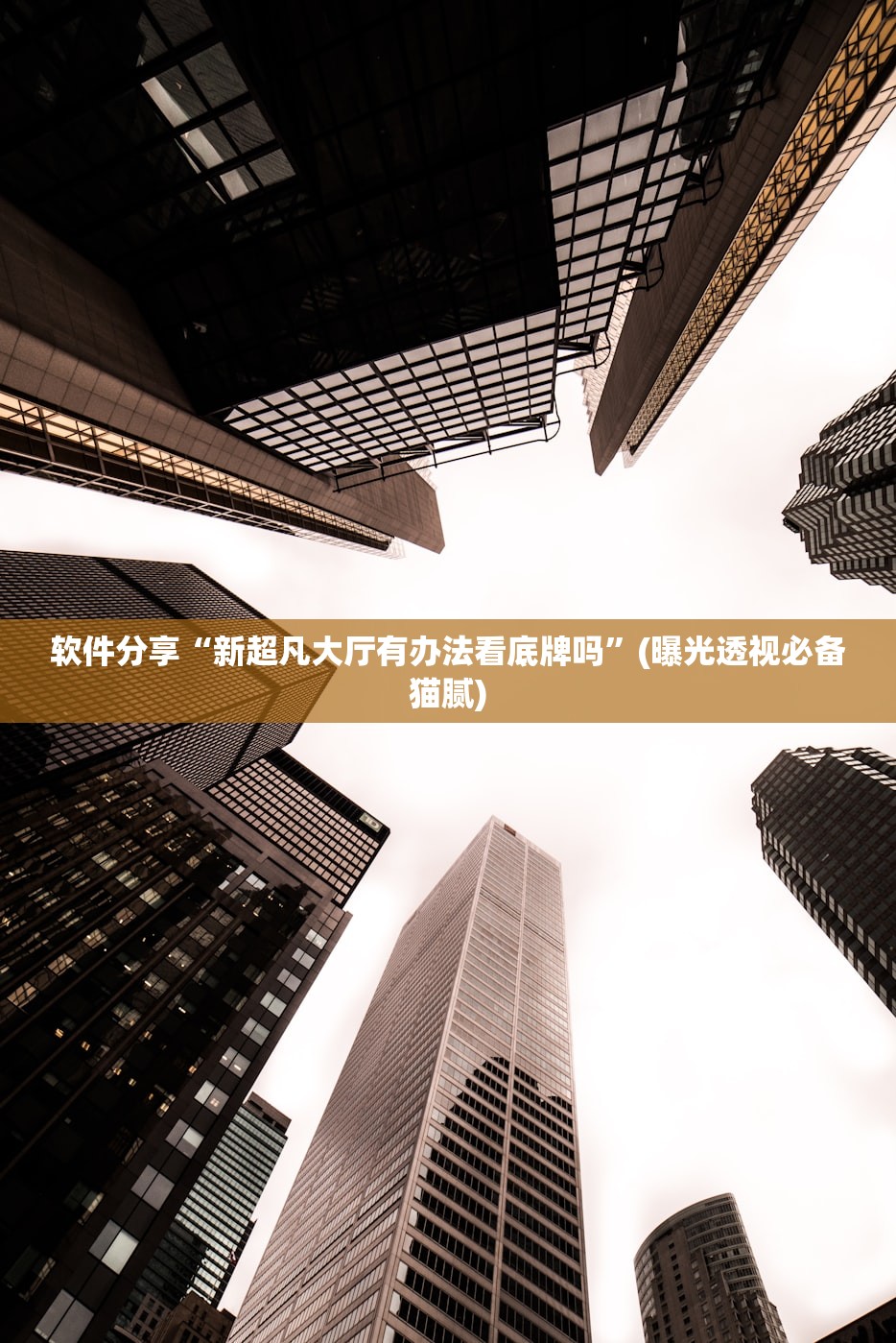 软件分享“新超凡大厅有办法看底牌吗	”(曝光透视必备猫腻)