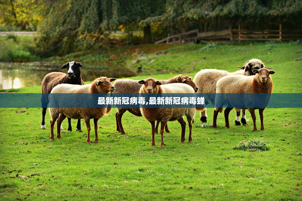 最新新冠病毒,最新新冠病毒蝉