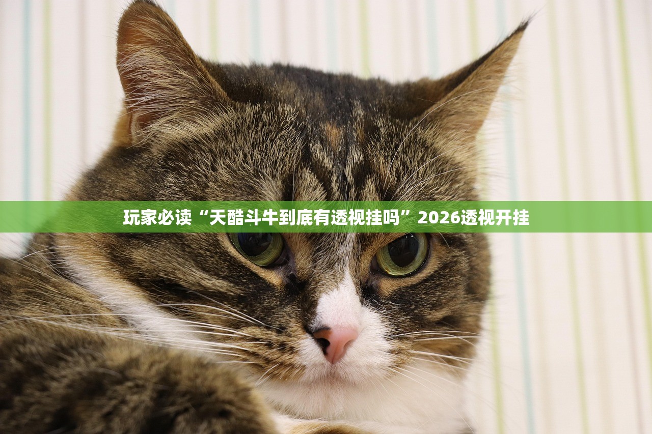 玩家必读“天酷斗牛到底有透视挂吗”2026透视开挂