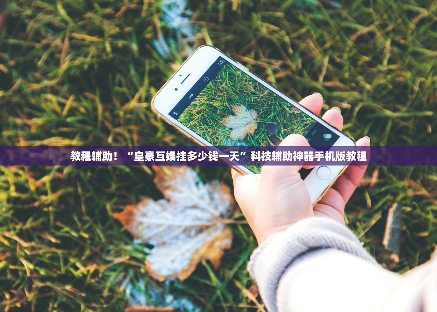 教程辅助！“皇豪互娱挂多少钱一天	”科技辅助神器手机版教程