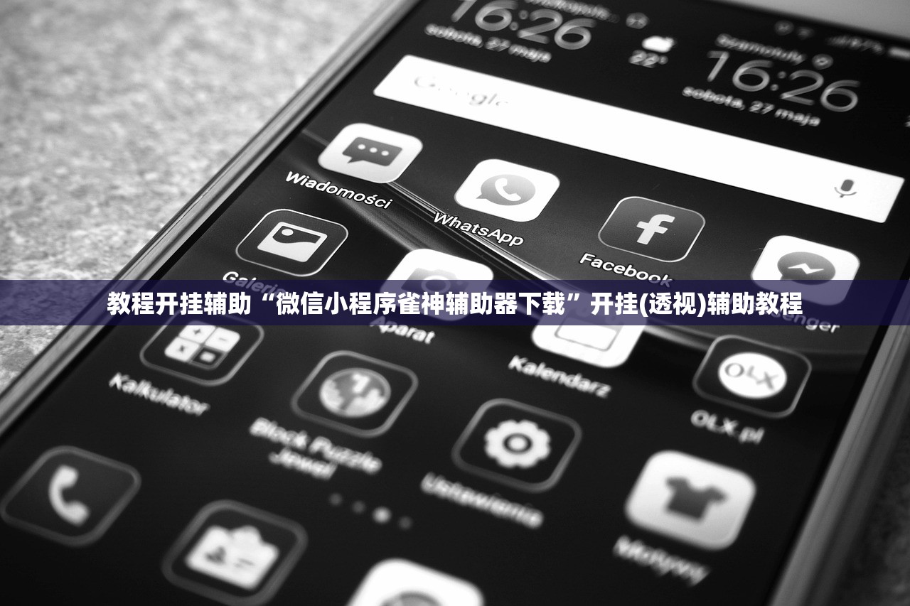 教程开挂辅助“微信小程序雀神辅助器下载”开挂(透视)辅助教程