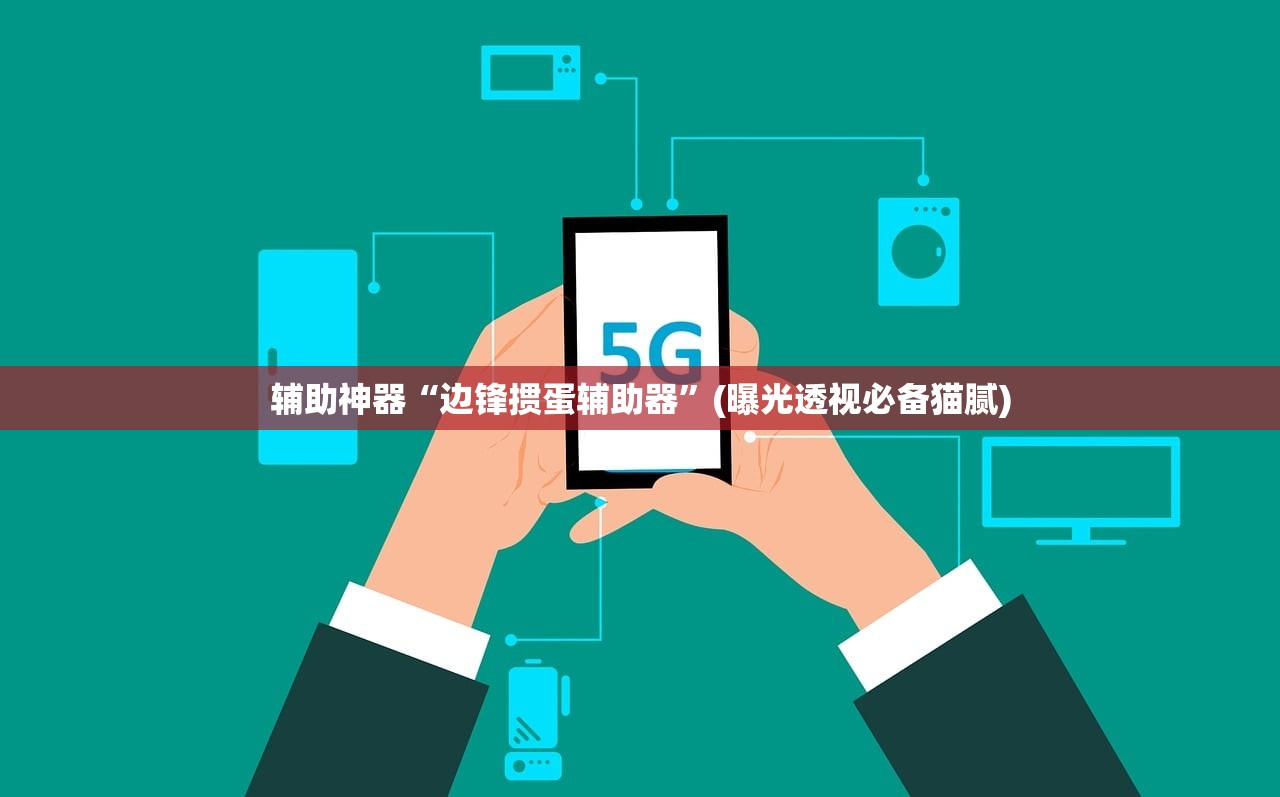 辅助神器“边锋掼蛋辅助器	”(曝光透视必备猫腻)