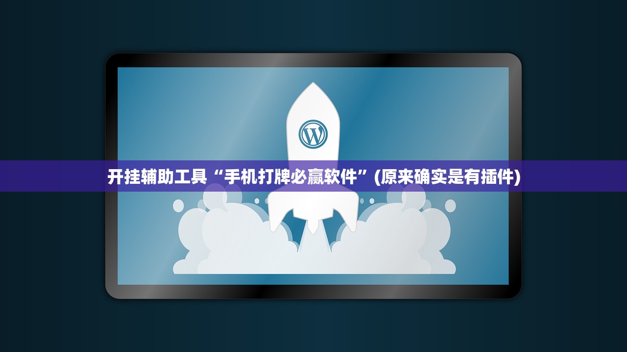 开挂辅助工具“手机打牌必赢软件”(原来确实是有插件)