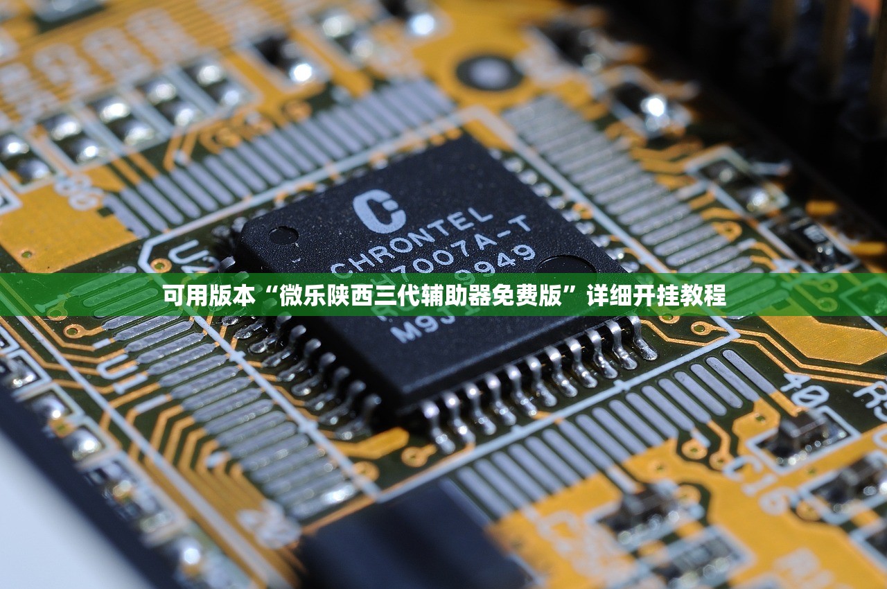 可用版本“微乐陕西三代辅助器免费版”详细开挂教程
