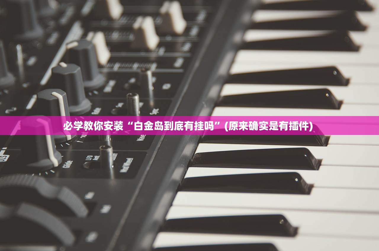 必学教你安装“白金岛到底有挂吗”(原来确实是有插件) 