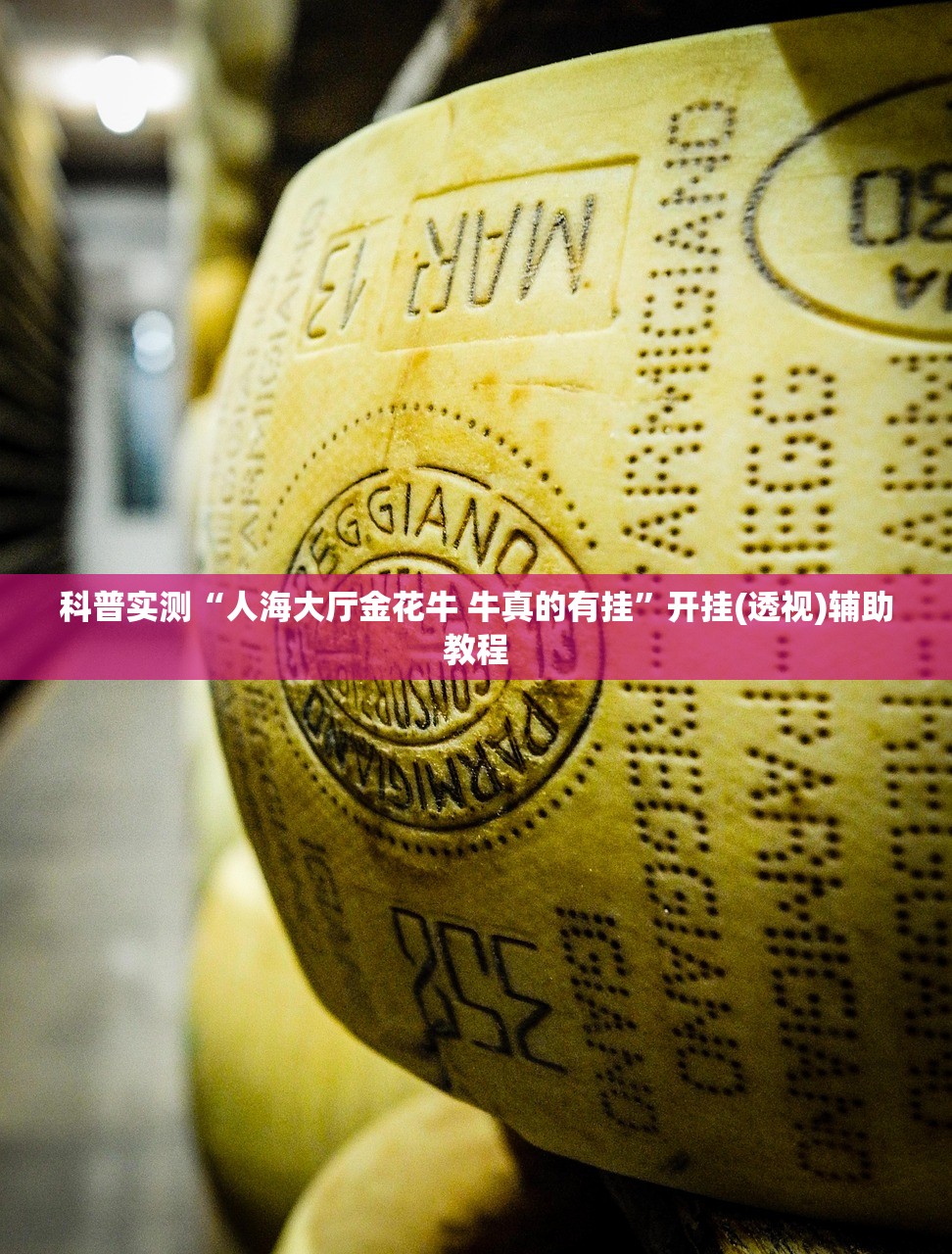 科普实测“人海大厅金花牛 牛真的有挂”开挂(透视)辅助教程
