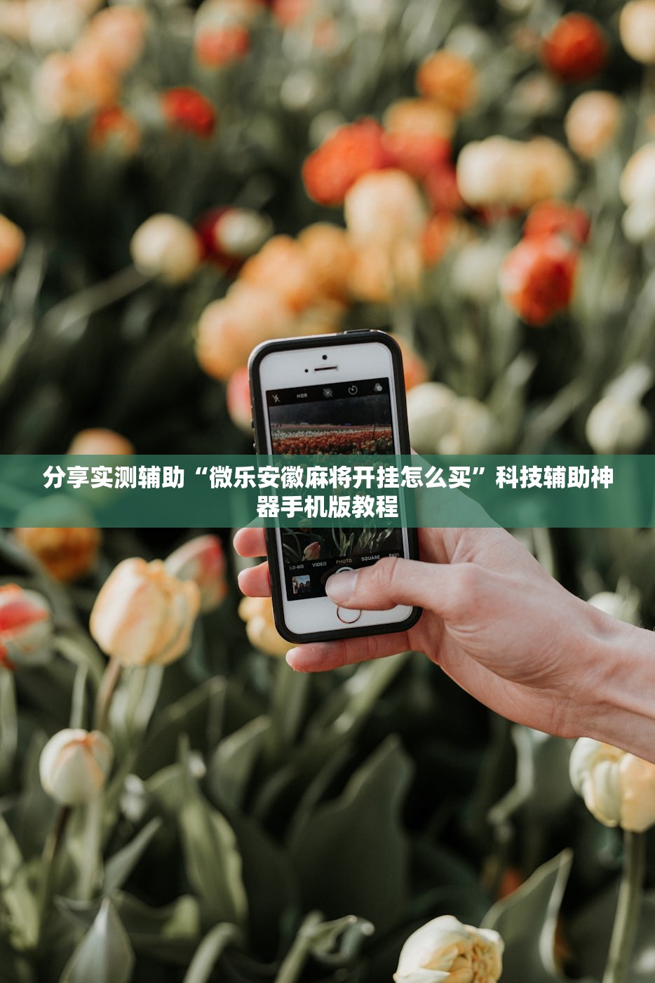 分享实测辅助“微乐安徽麻将开挂怎么买”科技辅助神器手机版教程