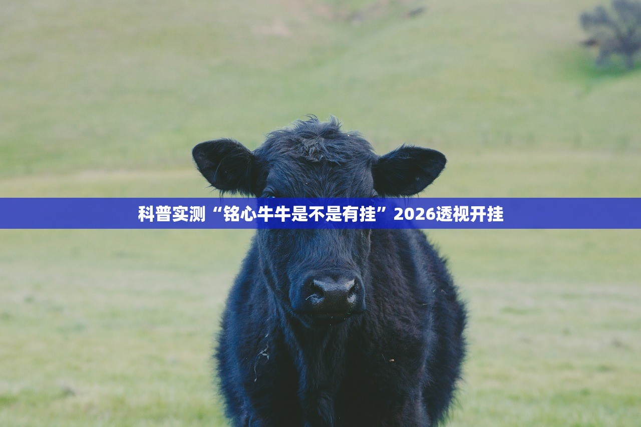 科普实测“铭心牛牛是不是有挂”2026透视开挂