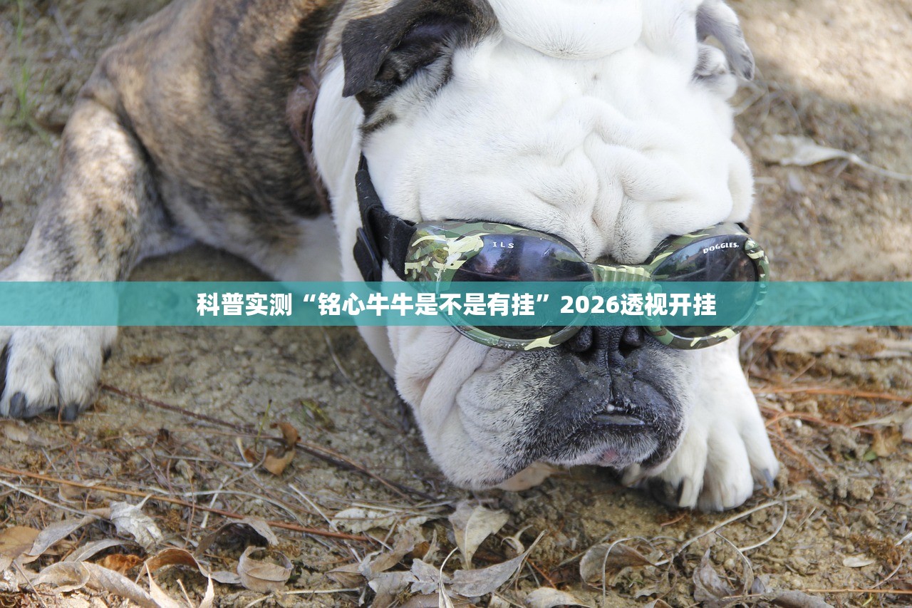 科普实测“铭心牛牛是不是有挂”2026透视开挂