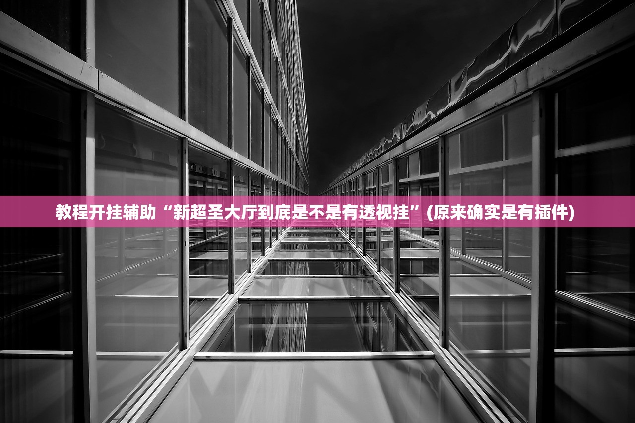教程开挂辅助“新超圣大厅到底是不是有透视挂	”(原来确实是有插件) 