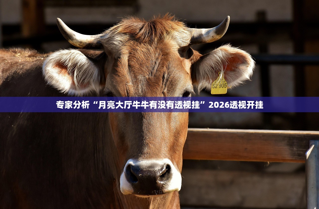 可用版本“柚子麻将免费挂软件”2026开挂教程步骤