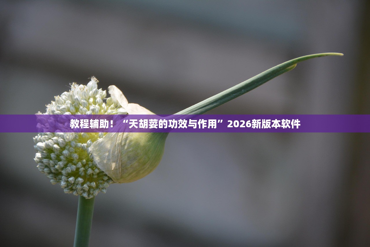 教程辅助！“天胡荽的功效与作用”2026新版本软件