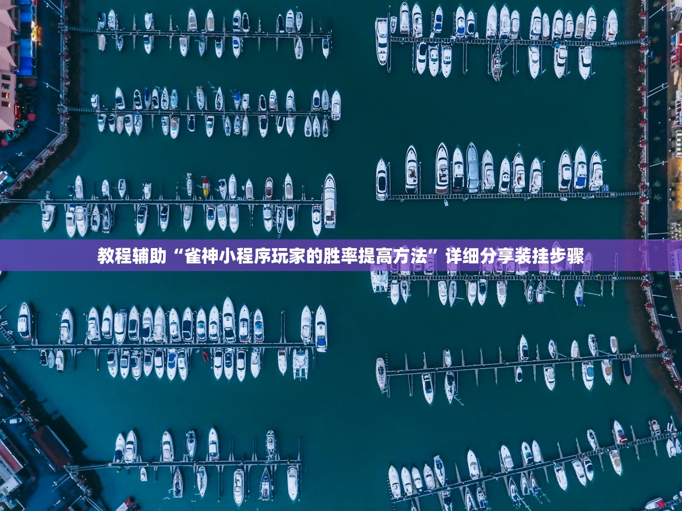 教程辅助“雀神小程序玩家的胜率提高方法	”详细分享装挂步骤