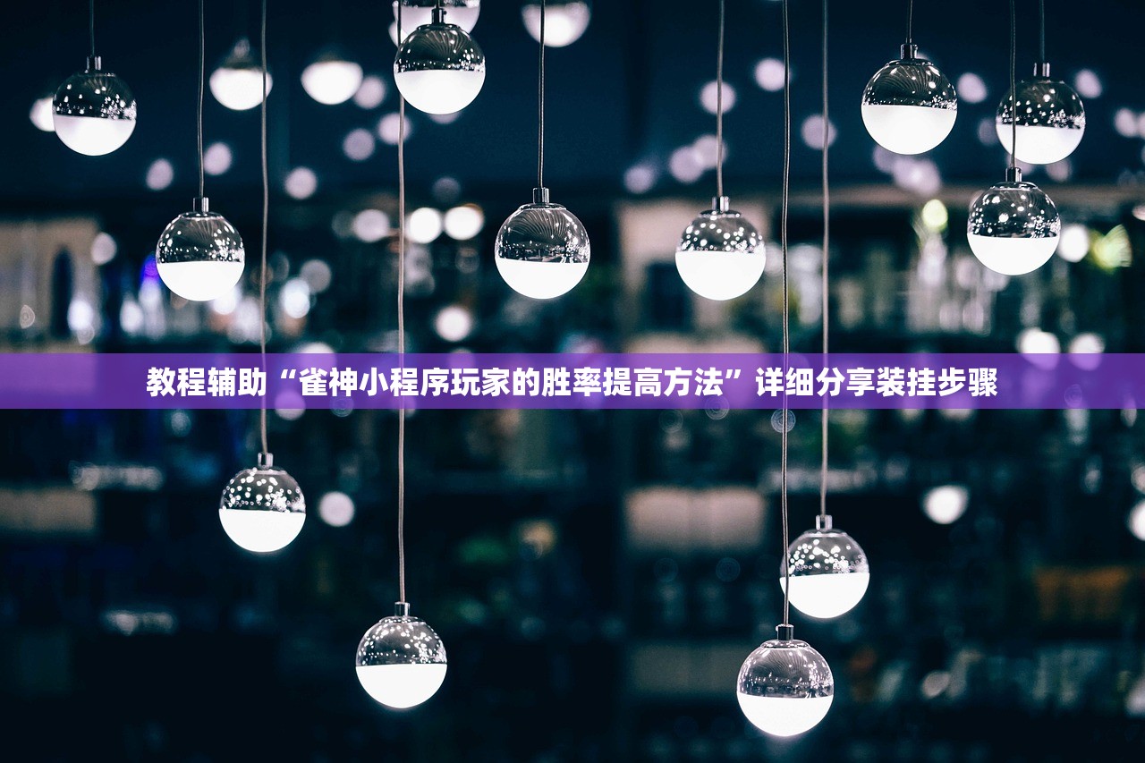 教程辅助“雀神小程序玩家的胜率提高方法”详细分享装挂步骤