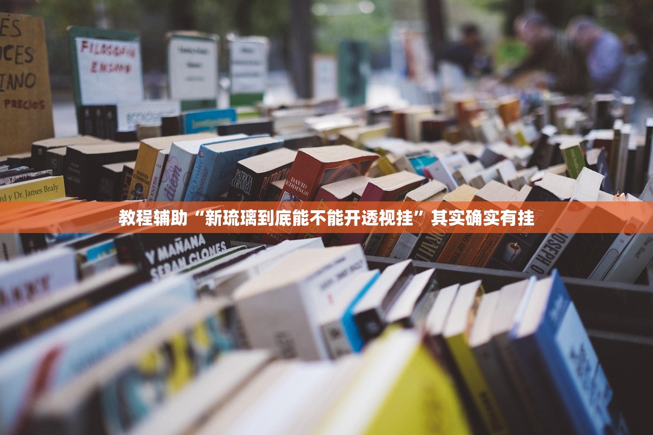教程辅助“新琉璃到底能不能开透视挂”其实确实有挂