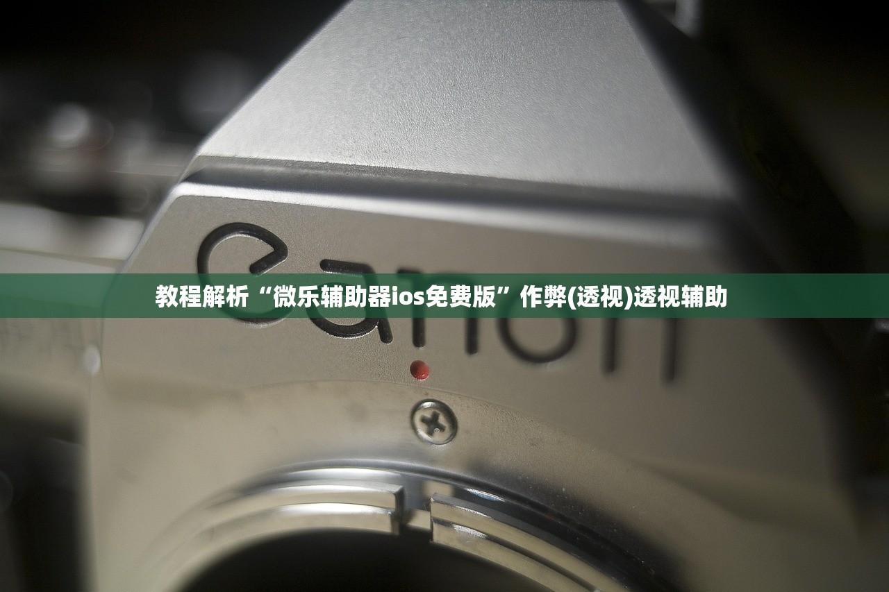 教程解析“微乐辅助器ios免费版”作弊(透视)透视辅助 