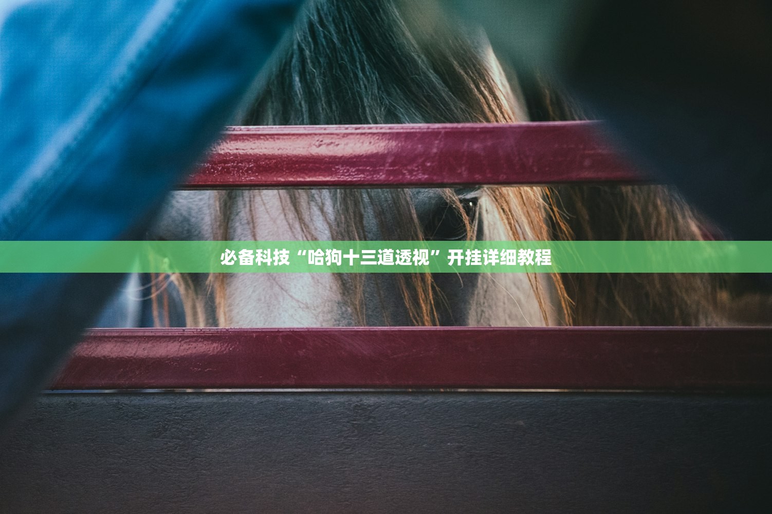 必备科技“哈狗十三道透视”开挂详细教程