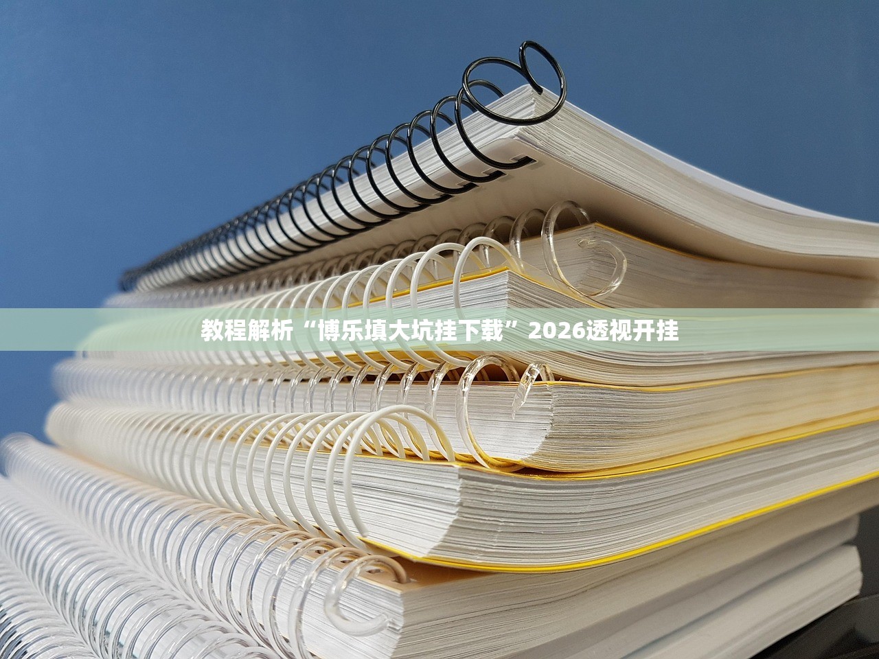 教程解析“博乐填大坑挂下载”2026透视开挂